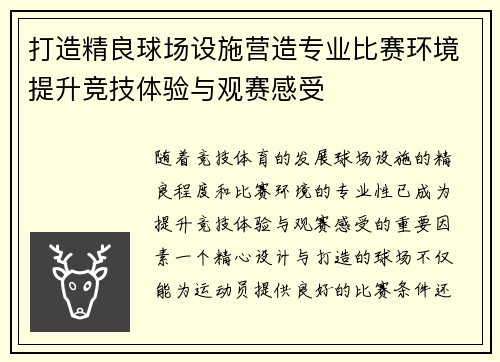 打造精良球场设施营造专业比赛环境提升竞技体验与观赛感受