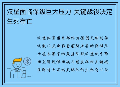 汉堡面临保级巨大压力 关键战役决定生死存亡
