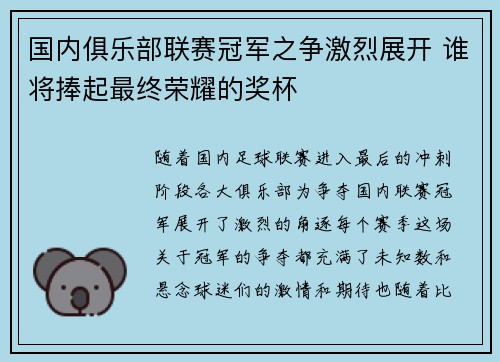 国内俱乐部联赛冠军之争激烈展开 谁将捧起最终荣耀的奖杯