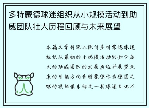 多特蒙德球迷组织从小规模活动到助威团队壮大历程回顾与未来展望